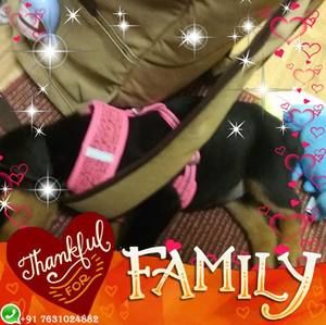 Meet your Posher, Heather